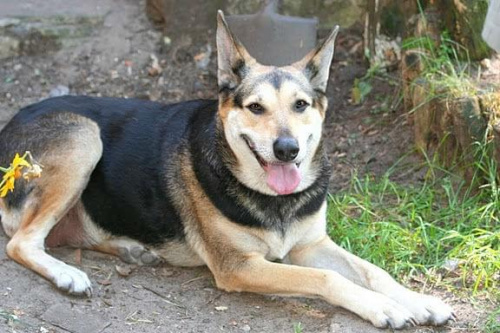 Sonia, 10 lat