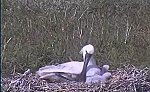 http://images37.fotosik.pl/125/91f2f8c8145ffa67m.jpg