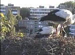 http://images37.fotosik.pl/138/bb646378ba37af49m.jpg