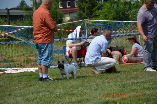darmowy hosting obrazków