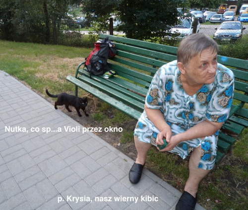 Obrazek