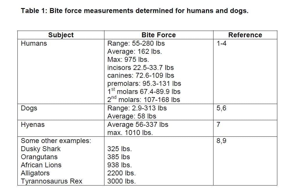 bite-force-animal-vs-animal