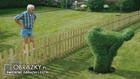 Obrazek