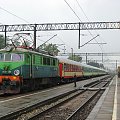 16.08.2008 (Czerwieńsk) EU07-498 stoi gotowy do odjazdu z pociągiem pośpiesznym Bachus do Gdyni Gł.