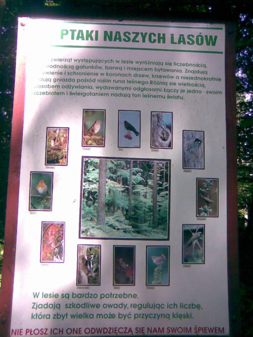 Nad Jeziorem Pierzchalskim - tablica na ścieżce przyrodniczej
