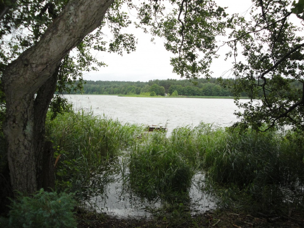 Widok na jezioro Długie w pochmurne lipcowe popołudnie- Kaszuby 2011