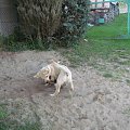 Szaleństwa Rika ;D
