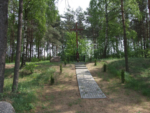 Cmentarz choleryczny w Laskownicy k. Kcyni