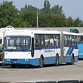 Zemun #ZemunIkarusJelczAutobusIk160