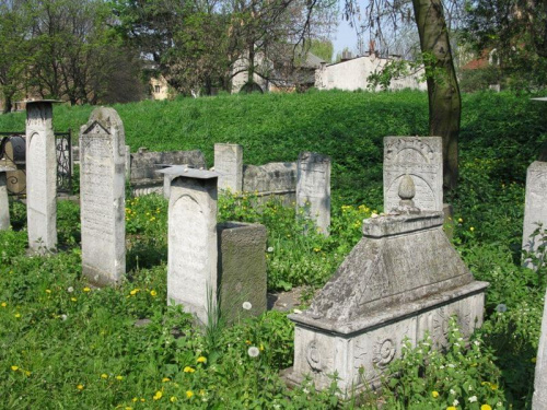 Kraków synagoga cmentarz REMUH