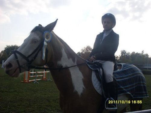 Cudak i Karola Zawody Hubertusowe Ostroga 2011