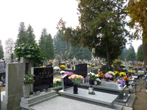 cmentarze
