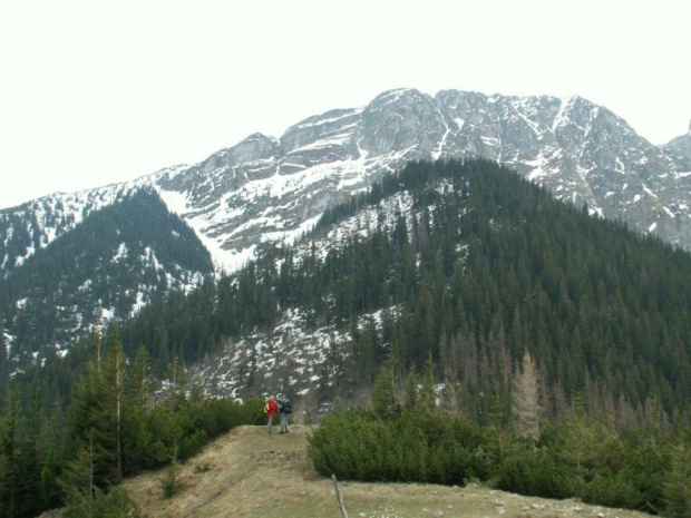 Zakopane, maj 2008 #Góry