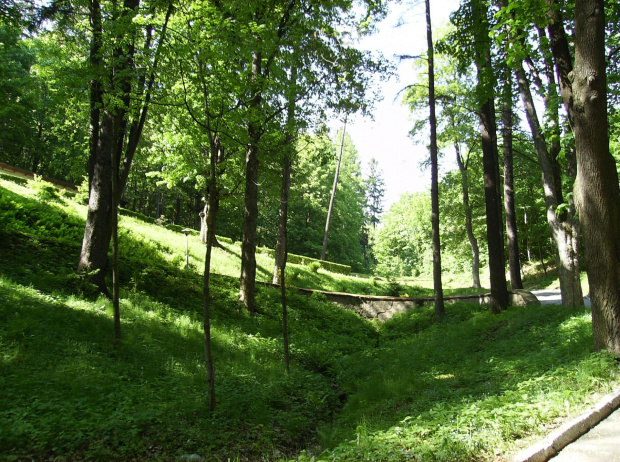 Do sanatorium w Rościszowie prowadzi kreta ścieżka.