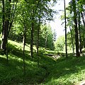 Do sanatorium w Rościszowie prowadzi kreta ścieżka.