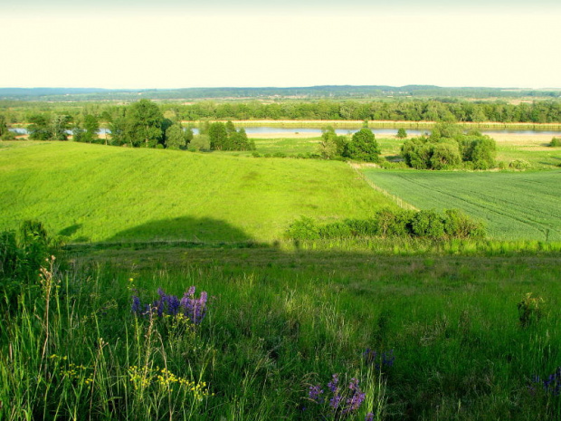 Widok z górki.