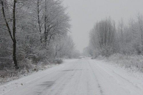 pierwszy śnieg :)