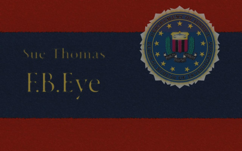 Sue Thomas F.B.Eye Słyszące Oczy FBI Tapeta do serialu Stworzona przeze mnie :) #Sue #Thomas #FBI #Serial #Przygoda #eye #oczy