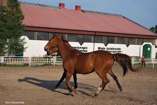 2009.05.21 Trening w Stodołach