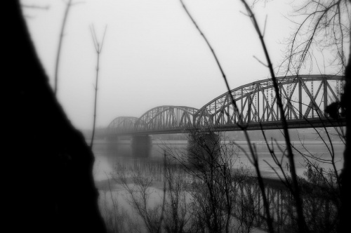 #mosty #Toruń