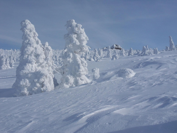 Cel wyprawy Szrenica..daleko jeszcze,ale i stąd wygląda pięknie :) #góry #Karkonosze #szadż #Szrenica #zima