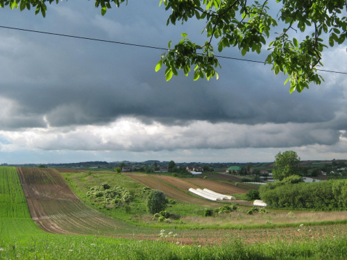 Widok z mojego okna