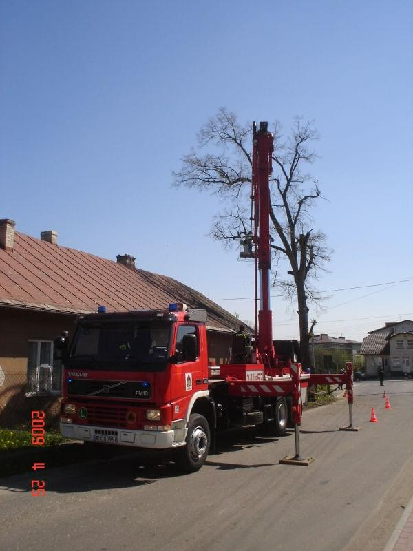 wycinka lipy w Zręcinie przy ul. Koscielnej