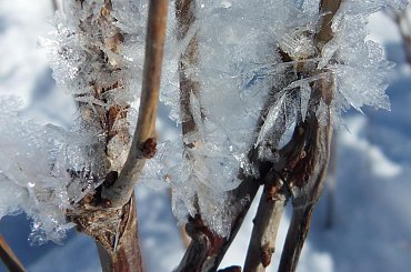 Lodowy kwiatostan ;) #góry #lód #pączki #sople #wiosna #zima