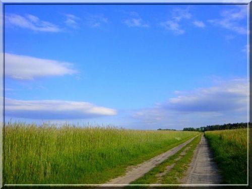 polski rolniczy widok #widok #krajobraz #Polska