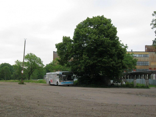 Volvo B10L CNG #311 (PKM Tychy), Mikołów, ul. Kolejowa.