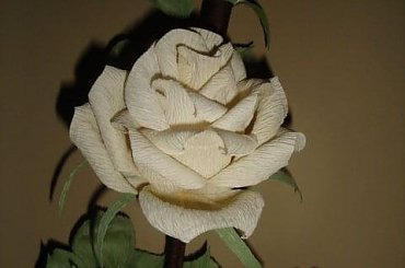 Róża kremowa #bibułkarstwo #CudaZPapieru #krepina #kwiatki #KwiatyZBibuły #KwiatyZKrepiny #artystyczne #bukiety #dekoracje #dekoratorstwo #kompozycje #kwiaty #NaStół #unikatowe #oryginalne #rękodzieło