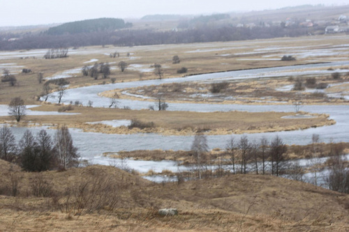 kręta Narew :)