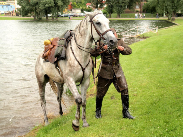 IX Piknik Kawaleryjski w Suwałkach #konie #PiknikKawaleryjski #Suwałki #kawaleria