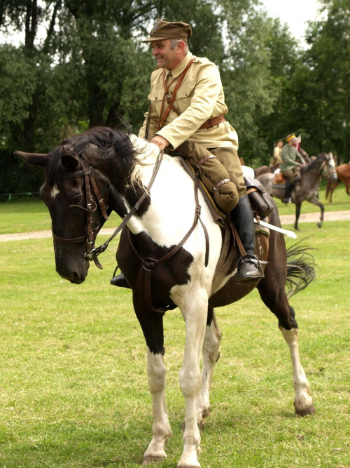 IX Piknik Kawaleryjski w Suwałkach #konie #koń #PiknikKawaleryjski #Suwałki #kawaleria