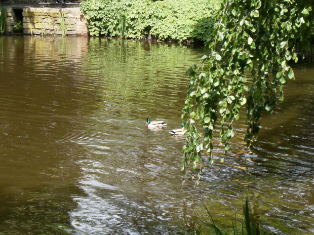 Ogród Botaniczny - Wrocław