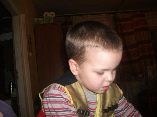 moje kwiaty po zimie #ogród