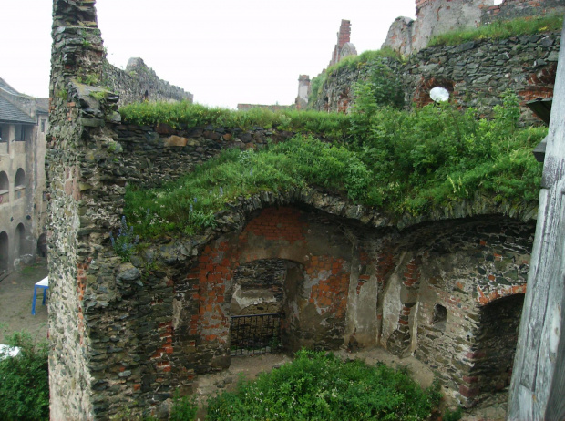 Panorama zarośniętego zamku.