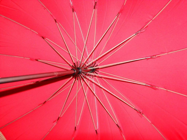 parasol dm151