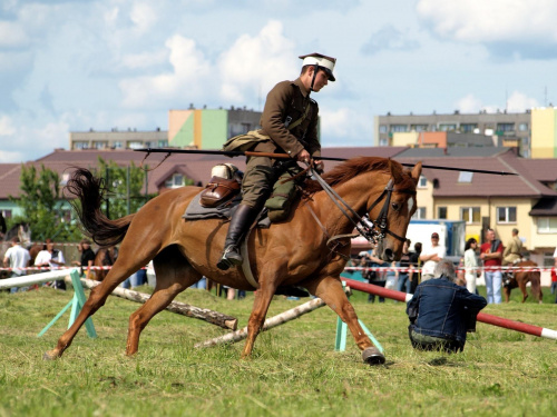 IX Piknik Kawaleryjski w Suwałkach #PiknikKawaleryjski #Suwałki #konie #ułani