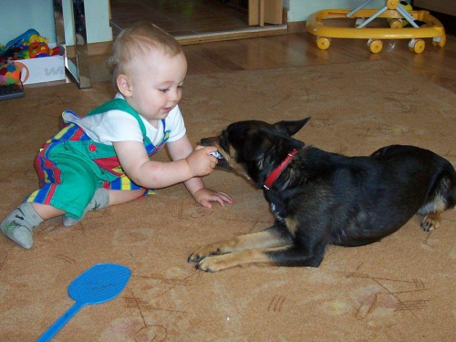 najwięksi przyjaciele #dziecko #niemowle #pies