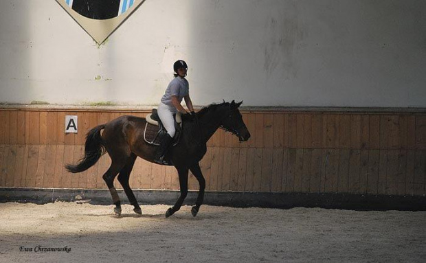 2009.07.04 Egzamin na odznak i- Stodoły trening