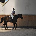 2009.07.04 Egzamin na odznak i- Stodoły trening