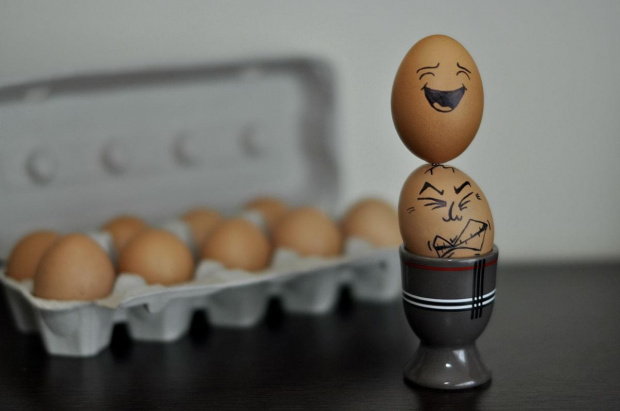 #Wielkanoc #jajka #śmieszne #zabawne