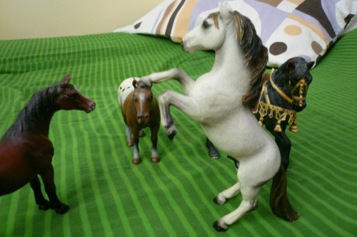 schleich collecta #schleich