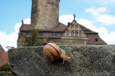 Ślimaczkowi też się spodobał :) #ZamekCzocha