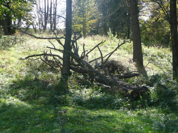 Bieszczady