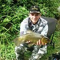 tench