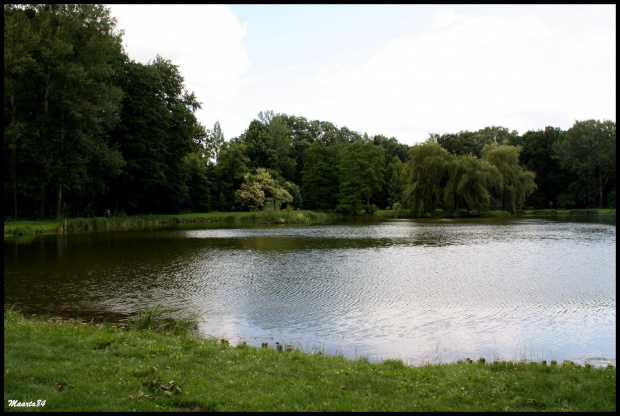 Arboretum w Kórniku