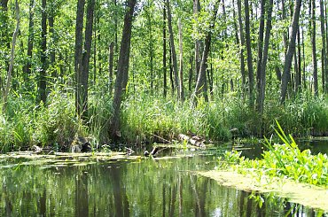 Urlop Pokośno 2012 #urlop