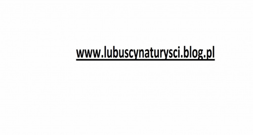 www.lubuscynaturysci.blog.pl #erotyka #lubuscynaturysci #naturysci #naturyzm #nudysci #nudyzm #plaza